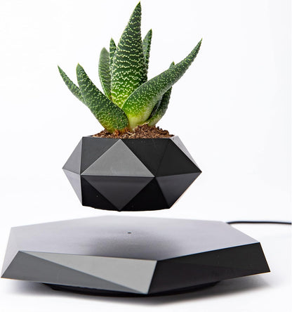 Levitating Plant Pot - Floating Plant Pot for Small Plants. Levitating Decor for Home & Office Magnetic Floating Levitating Display